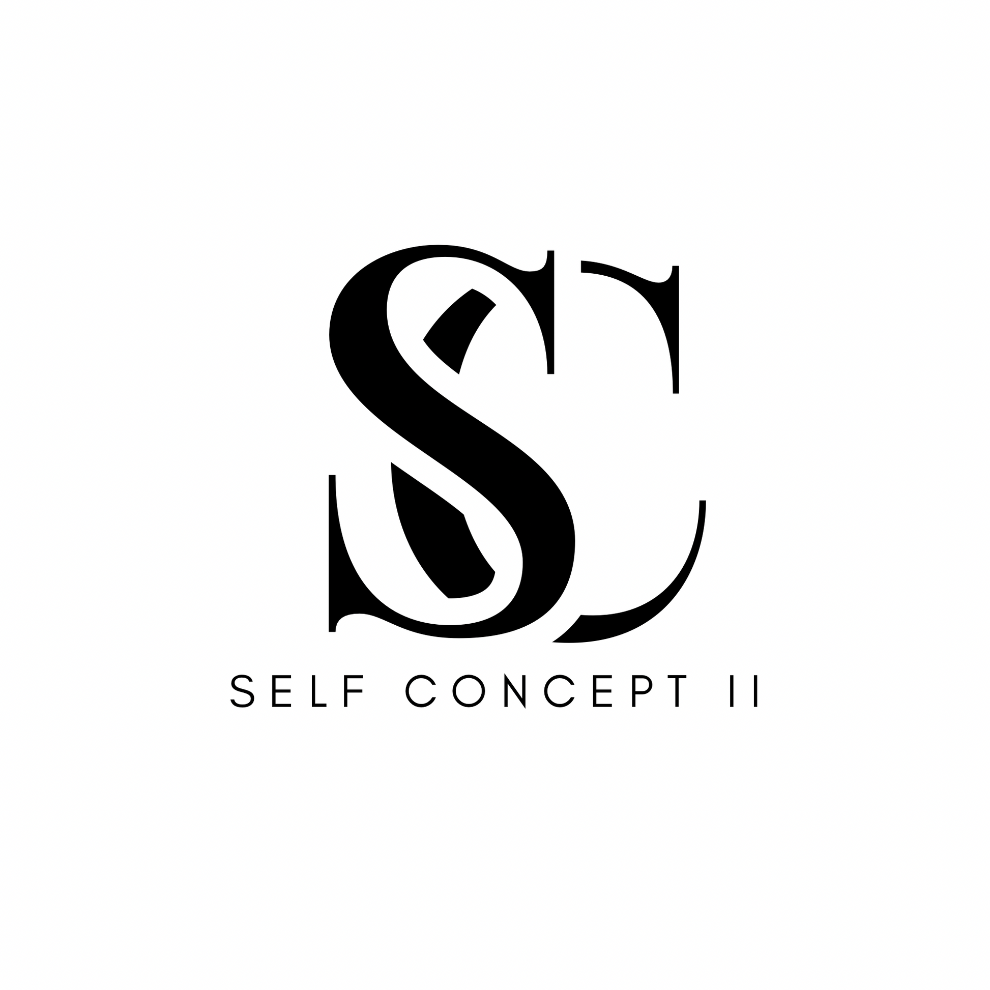 Self Concept II